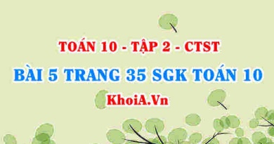 Bài 5 trang 35 SGK Toán 10 tập 2 Chân trời sáng tạo